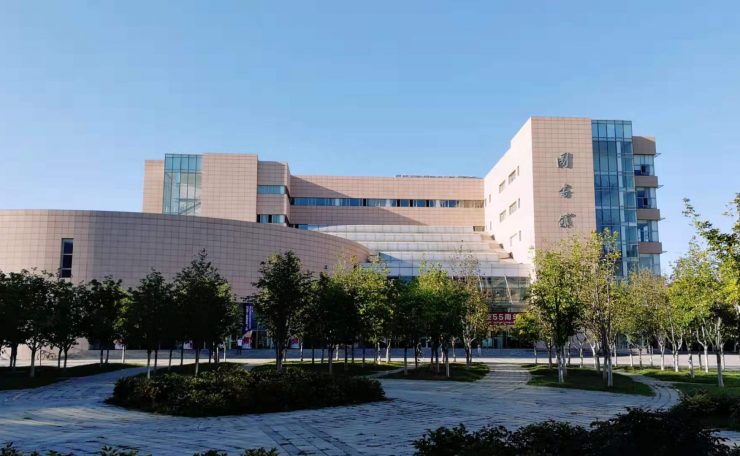 Dlufl_library